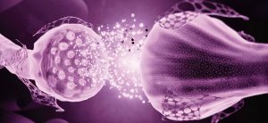 Espacio Santa Maria, rehabilitacion psiconeurologica en buenos aires, cursos medicos, actualizaciones medicas en buenos aires, neuroplasticidad, academia santa maria