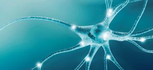 Espacio Santa Maria, rehabilitacion neurologica, cursos medicos virtuales, rehabilitacion de acv, ACV tratamientos, neuropsicologia en buenos aires, actualizacion medica